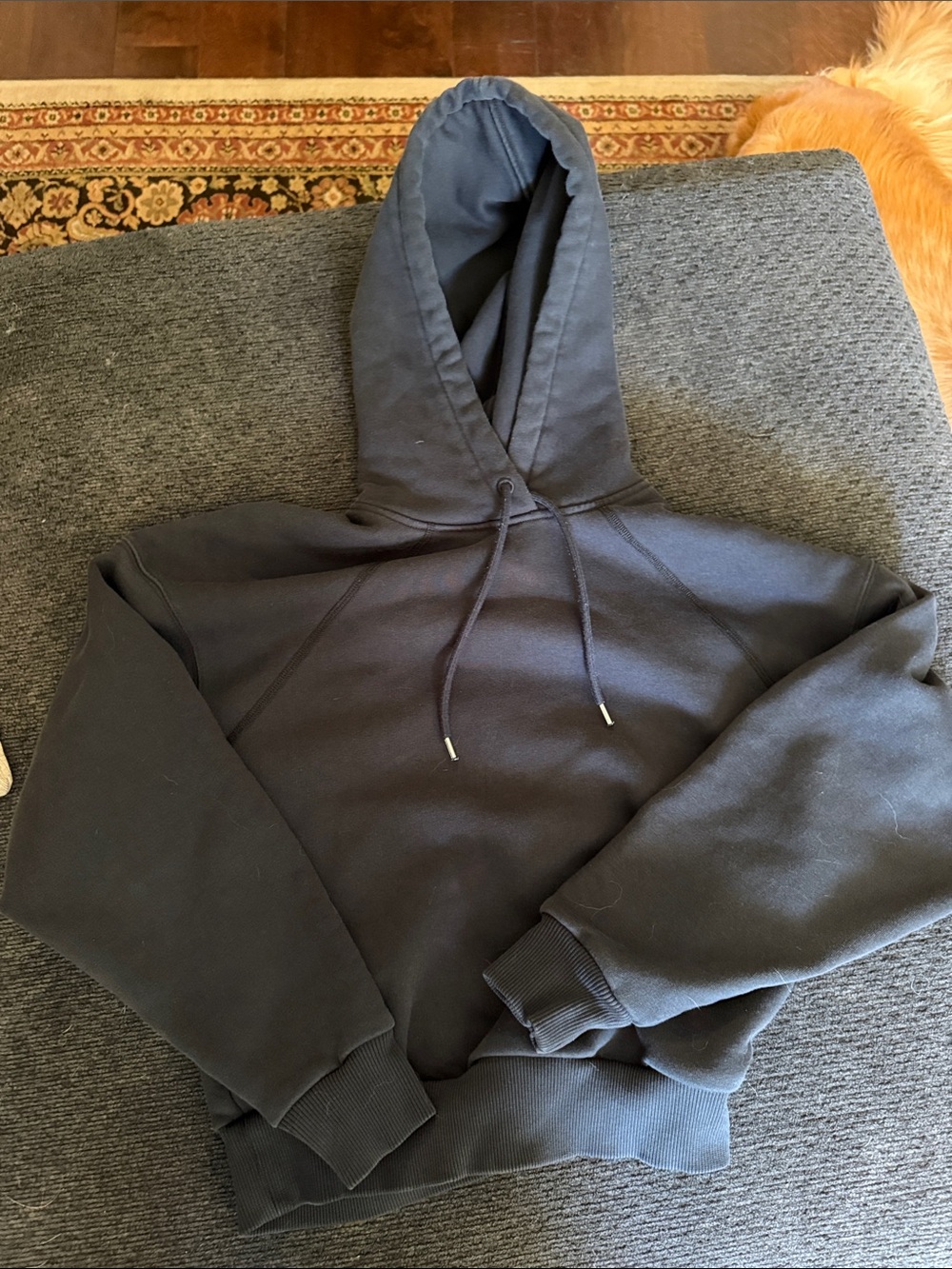 Everlane Charcoal Hoodie Sweatshirt in Dark Gray